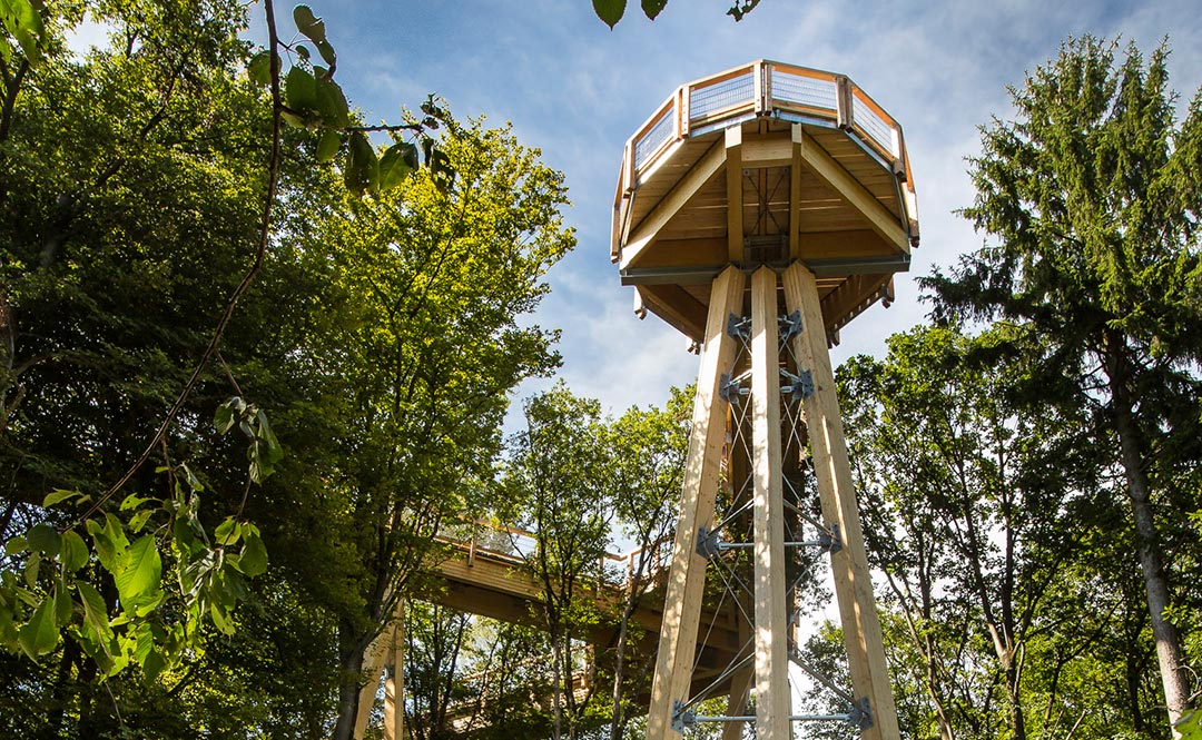 Baumwipfelpfad Panadora, ©Uwe Völkner/Fotoagentur FOX und Schaffitzel Holzindustrie